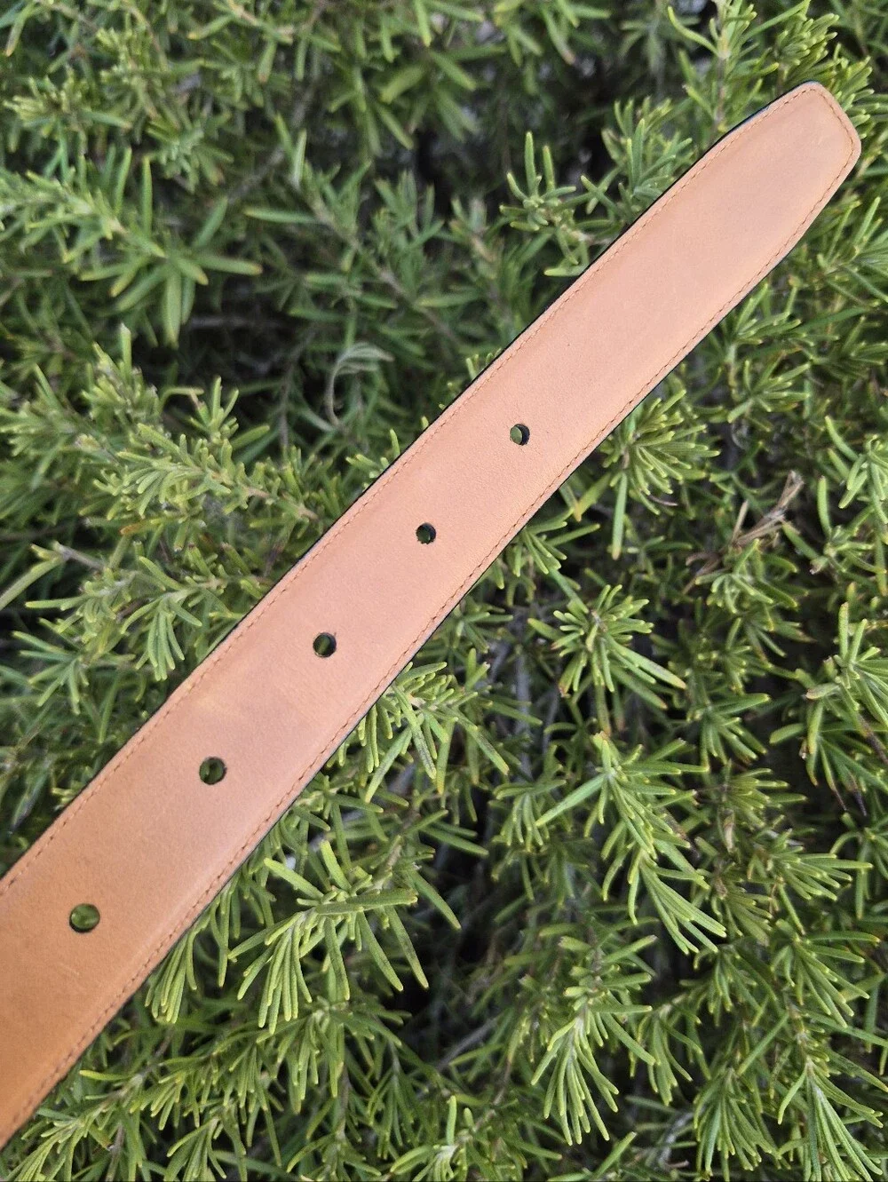 Lauren Ralph Lauren Black Leather Plaque Belt Medium NWOT